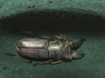 HPNX0938.JPG