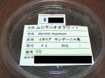 HPNX1043.JPG