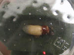 HPNX1120.JPG