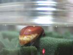 HPNX1126.JPG