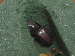 HPNX1244.JPG