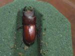 HPNX1249.JPG