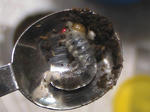 HPNX1336.JPG