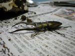 DSCN0164.JPG