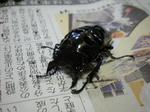 DSCN0172.JPG