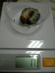 DSCN0222.JPG