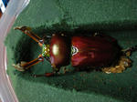 DSCN0307.JPG