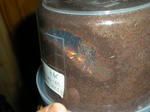DSCN0336.JPG
