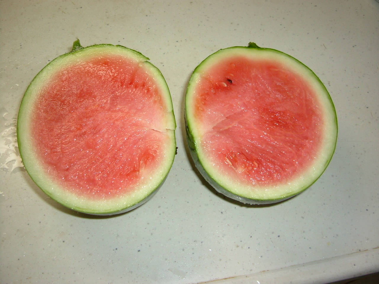DSCF1325.JPG