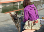 DSCF6355.JPG