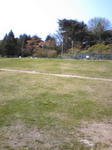14f06102.jpg