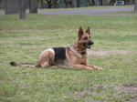 d4ad9437.jpg