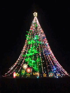 091220.jpg