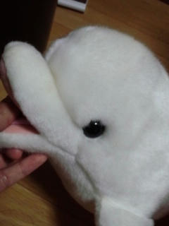 101122_1.jpg