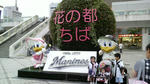2009073118130000.jpg