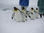 PICT0057.JPG
