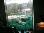 PICT0085.JPG