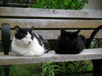 PICT0177.JPG