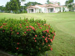 62f695adjpeg