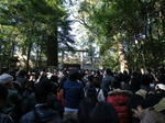 DSC01119_R_R.jpg