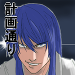 niradsn_hissatu.png
