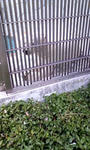 100409_120233.JPG