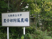 060613farm