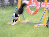 060613tire