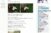 060621PlugIn