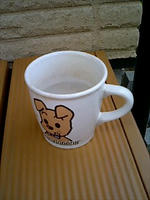 060709cup