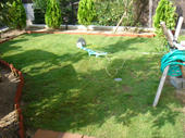 060729siba1