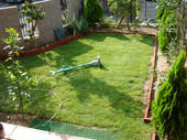 060729siba2