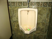 060812washlet2