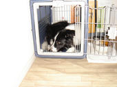 060922Clip in cage