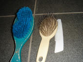 060923brush