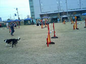 061126U人