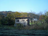 061203畦野