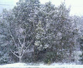 091229豊能