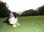 070313field