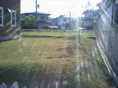 070430芝