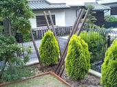070502wpole