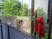 060502aplview