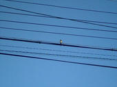 070507Atsuuya