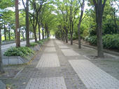 070531path