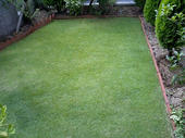 070728grass