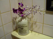 070727toilet8