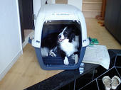 070811ClipinCage