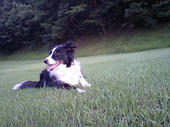 070811field