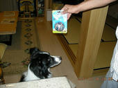 071008newball