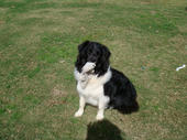 071010tombo2